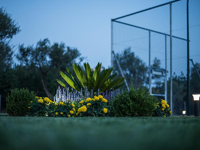 Yellow Tennis Club